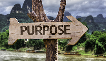 3 Steps to Transform Pain into Purpose