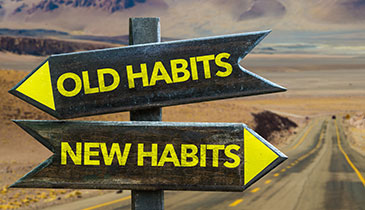 The Power of Habit