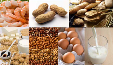 Food Allergies: Effects, Symptoms and Solutions